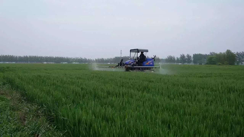 预防小麦赤霉病