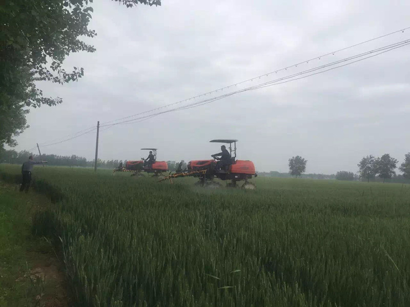 预防小麦赤霉病