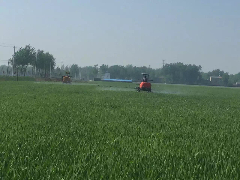 小麦赤霉病预防